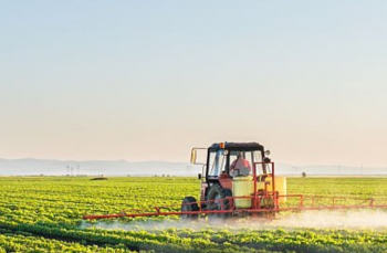 Los pagos de las ayudas directas de la Política Agraria Común de la campaña 2024 alcanzan los 3.665 millones de euros