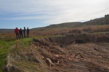 Abierto el plazo para solicitar las ayudas por 53,1 millones de euros de la línea ICO-MAPA-SAECA para explotaciones agrarias afectadas por la DANA 