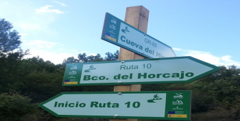 El turismo se consolida como principal motor de crecimiento