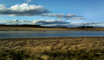 Guadalajara celebrará el Día de los Humedales con una visita a las lagunas de Puebla de Beleña