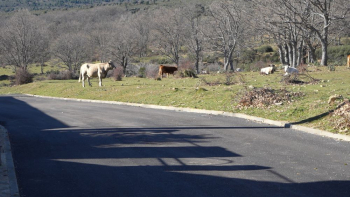 El Plan de Asfaltado de la Diputación ha arreglado las calles de 159 pueblos, en cuatro años