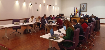 PSOE y Aike abandonan el Pleno por la negativa de Vox a apoyar una moción de sus socios de Gobierno sobre el 8M