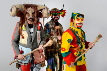 Las Botargas de Guadalajara, Fiesta de Interés Provincial desde hace 40 años y ahora también, Bien de Interés Cultural