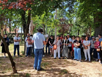 Aike presenta mejoras en la poda y diversificación del arbolado, control de especies invasoras al Plan de Infraestructura Verde