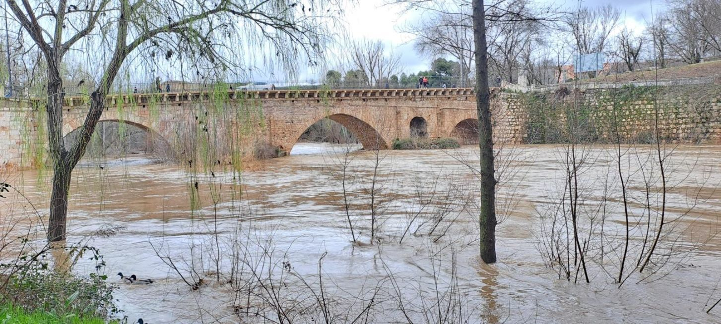 El río Henares a su paso por la capital, esta misma mañana//Imagen: Ayuntamiento de Guadalajara. 