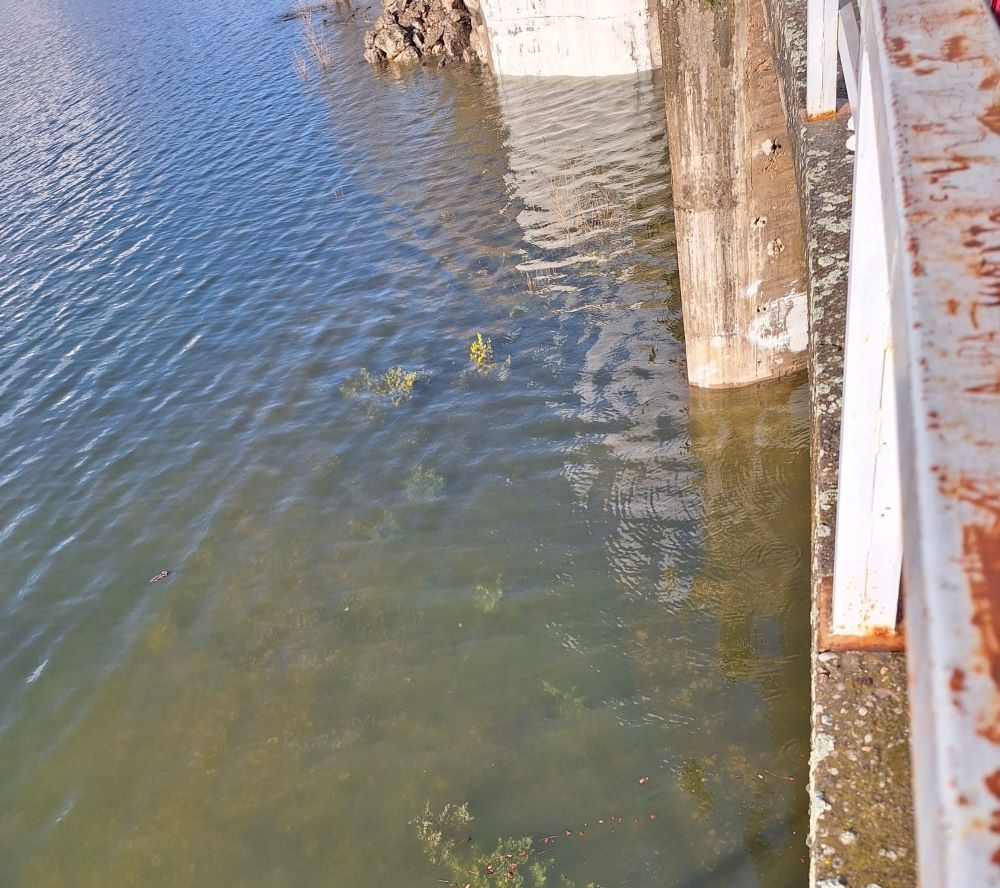 Nivel del embalse de Alcorlo.
