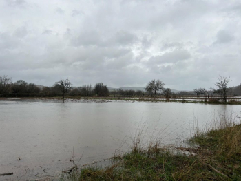 La CHT informa sobre siete estaciones de aforo que superan el umbral rojo en el Tajo, Tajuña, Henares y Jarama y cinco embalses aliviando agua en Guadalajara