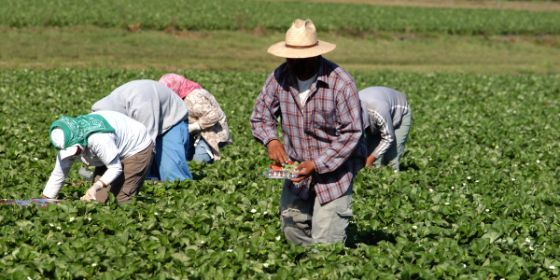 La senda ascendente del salario medio impulsa el poder adquisitivo y la satisfacción laboral en España