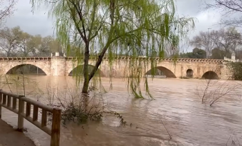 El Henares vuelve a alcanzar el nivel rojo al llegar a su cota máxima