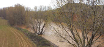 MUCHA PRECAUCIÓN en las terreras del Henares por peligro de desprendimientos