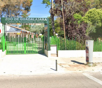 El PSOE denuncia que el Zoo de Guadalajara se encuentra "en un estado prácticamente de abandono"