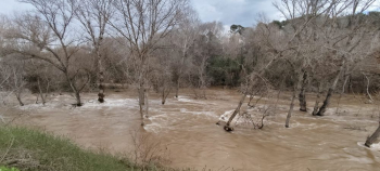 El Ayuntamiento de Guadalajara desactiva el Platemun y el Cecopal
