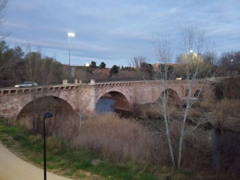 Una mujer de 30 años ha sido rescatada por los bomberos tras sufrir un accidente en el entorno del Puente Árabe de Guadalajara