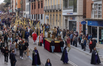 Devoción popular en la procesión del Domingo de Ramos