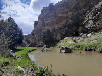 La Plataforma para la Defensa del Valle y Hoces del Mesa surge para pedir la paralización de un proyecto de ganadería intensiva en este espacio protegido