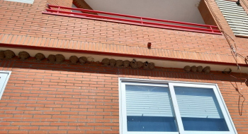 Cuidado con dañar nidos de golondrinas, vencejos y aviones. Está multado con hasta 200.000 euros