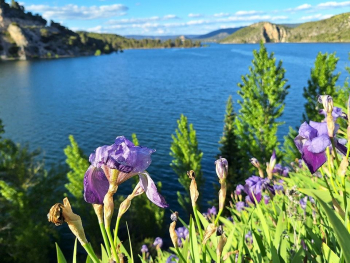 Buendía se encuentra por encima de la mitad de su capacidad, con Entrepeñas al 84%