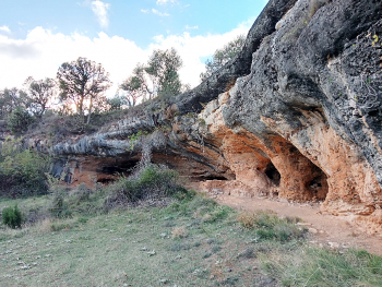 El Geolodía 2025 de Guadalajara visita Tamajón para adentrarse, a través del tiempo, en un mar tropical de 90 millones de años