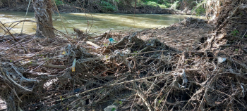 EDITORIAL. Un auténtico vertedero