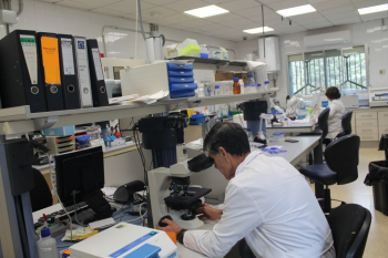 El CIAPA de Marchamalo, la IGP del Espárrago y la 'Miel de Torronteras Espliego’, serán reconocidos en los Premios Gran Selección Campo y Alma 2025