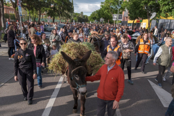 Multitudinaria participación en la Fiesta de la Espiga de Azuqueca