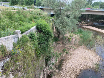 Los vecinos de La Chopera y Río Henares lanzan un "grito de emergencia" ante el deterioro del Puente Árabe a causa de vegetación invasora