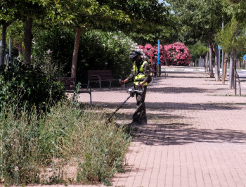 El Ayuntamiento de Azuqueca contrata a una empresa para reforzar el desbroce de alcorques y aceras