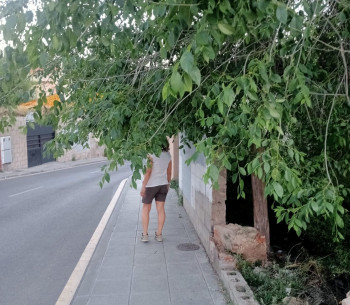 LOS VECINOS DENUNCIAN. Desidia en Rafael de la Rica