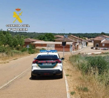 Investigado por maltrato animal después de que sus perros mataran a otro