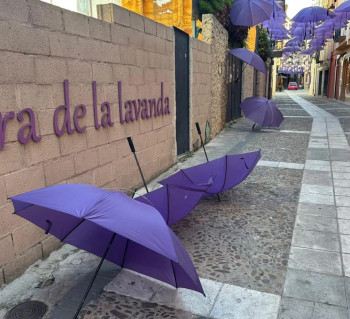 El Ayuntamiento de Brihuega lamenta los actos vandálicos previos al Festival de la Lavanda