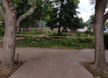Guadalajara cierra la piscina, el zoo y los parques ante el aviso amarillo de tormentas