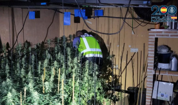 Descubierto un cultivo de marihuana en El Clavín tras un incendio