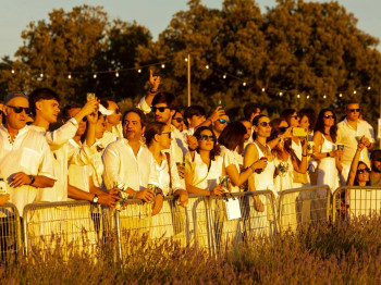 El artista Iván Ferreiro llenará de música los campos de lavanda de Brihuega