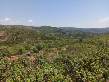 Una jornada divulgativa para conmemorar el 20º Aniversario del Incendio de Riba de Saelices