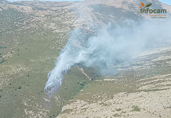Incendio en El Cardoso de la Sierra