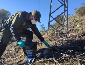UGT reconoce la labor de los Agentes Forestales y Medioambientales 