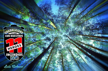 OPINIÓN. Carta en memoria de los once miembros del Retén de Cogolludo, fallecidos en La Riba de Saelices