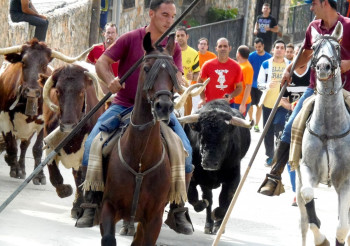 Los taurinos llaman a la responsabilidad y al respeto al toro al inicio de la temporada ‘grande’ de encierros en la provincia