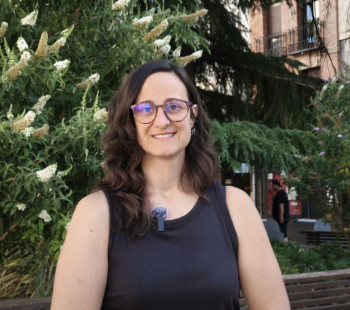 El PSOE pide a Guarinos “que no engañe y hable de proyecto del Alcázar"