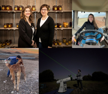 Los Premios Tierra de Oportunidades reconocen a cuatro iniciativas emprendedoras del Señorío de Molina