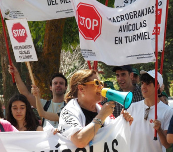 Más de 300 alegaciones al proyecto de macrogranjas de Maranchón