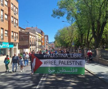 Una veintena de organizaciones piden en el pleno apoyo a Palestina