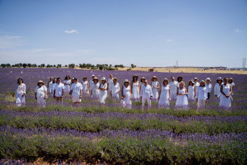 Más de 40 profesionales la lavanda participan en el VII encuentro de la Academia del Perfume en Brihuega
