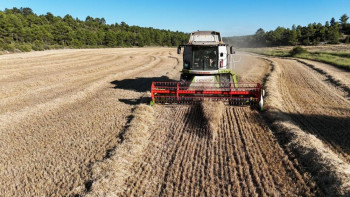 Una nueva resolución regula la actividad de cosechado y empacado compatible con la prevención de incendios forestales