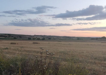 Posibles chubascos en Guadalajara para este jueves 31 de julio