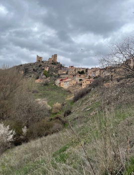 El Gobierno regional impulsa el acceso a internet en más 800 localidades afectadas por la despoblación