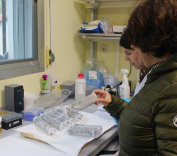 El IRIAF realiza en Marchamalo los ensayos de la vacuna contra la loque americana, que arroja esperanza en la lucha contra síndrome de despoblamiento de las abejas