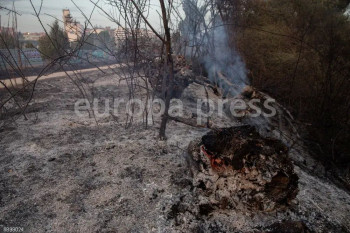 NACIONAL: Fallece el trabajador de una hípica en el incendio forestal de Tres Cantos