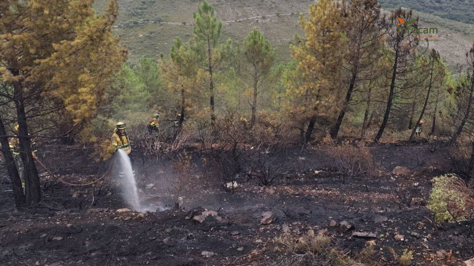 El fuego que se declaró ayer martes en Semillas ha quedado extinguido esta semana//Imagen: Infocam.