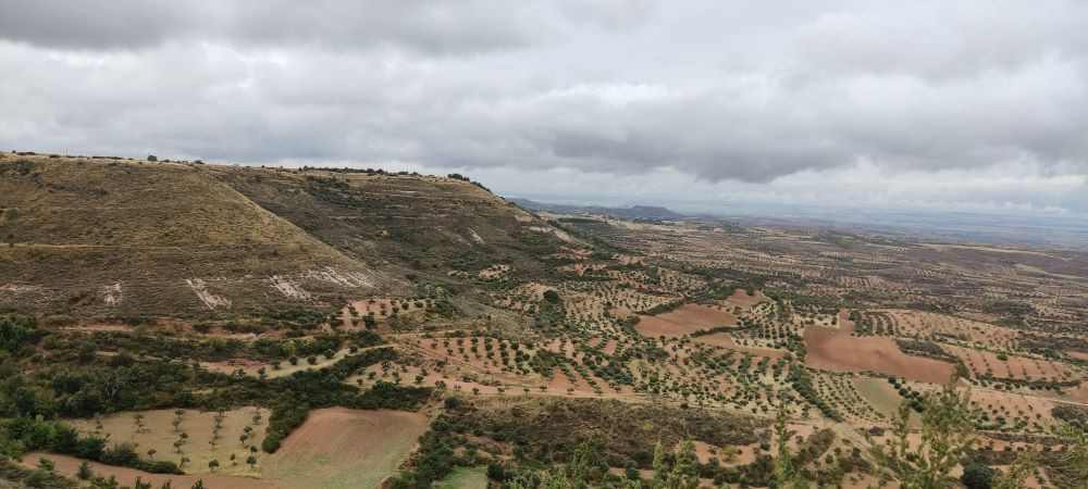 Imagen: El Decano de Guadalajara.